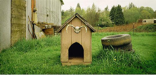 传闻：《战神：诸神黄昏》将在PS5展会上公布